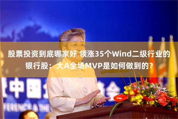 股票投资到底哪家好 领涨35个Wind二级行业的银行股：大A全场MVP是如何做到的？