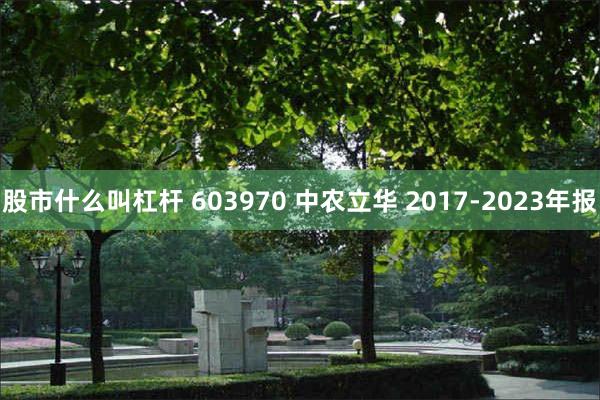 股市什么叫杠杆 603970 中农立华 2017-2023年报