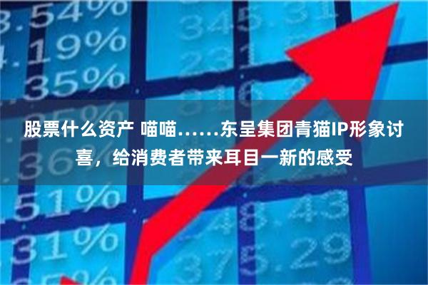 股票什么资产 喵喵……东呈集团青猫IP形象讨喜，给消费者带来耳目一新的感受