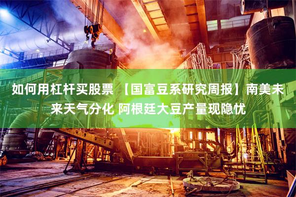 如何用杠杆买股票 【国富豆系研究周报】南美未来天气分化 阿根廷大豆产量现隐忧