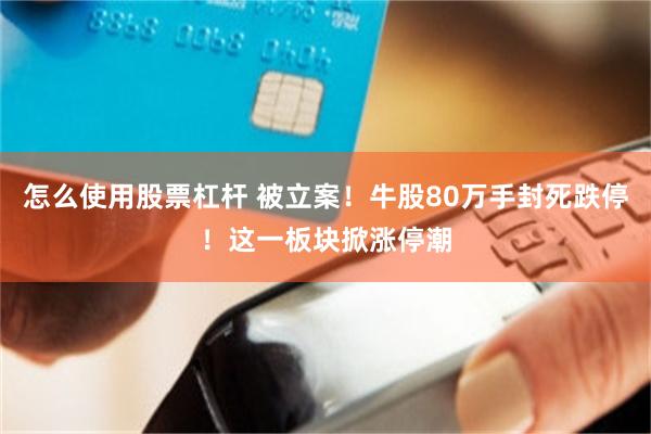 怎么使用股票杠杆 被立案！牛股80万手封死跌停！这一板块掀涨停潮