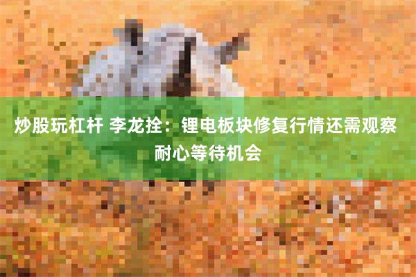 炒股玩杠杆 李龙拴:锂电板块修复行情还需观察 耐心等待机会