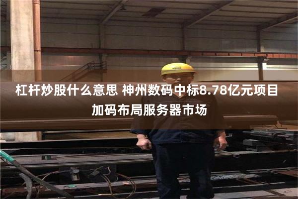 杠杆炒股什么意思 神州数码中标8.78亿元项目 加码布局服务器市场