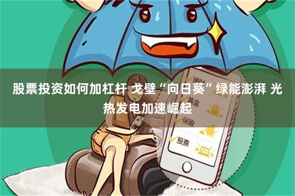 股票投资如何加杠杆 戈壁“向日葵”绿能澎湃 光热发电加速崛起