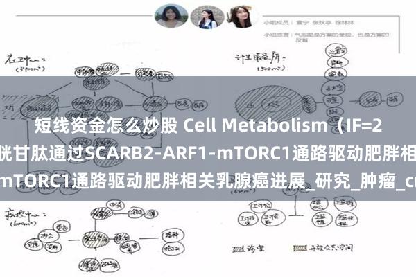 短线资金怎么炒股 Cell Metabolism（IF=27.7） | 脂肪细胞来源的谷胱甘肽通过SCARB2-ARF1-mTORC1通路驱动肥胖相关乳腺癌进展_研究_肿瘤_cmet