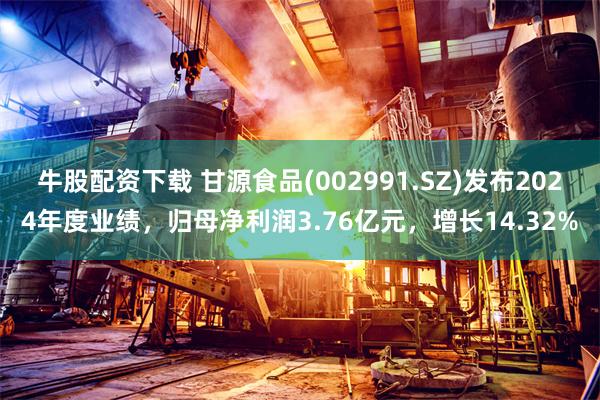 牛股配资下载 甘源食品(002991.SZ)发布2024年度业绩，归母净利润3.76亿元，增长14.32%