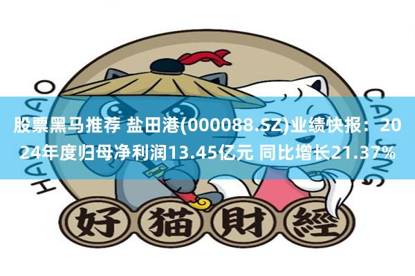 股票黑马推荐 盐田港(000088.SZ)业绩快报：2024年度归母净利润13.45亿元 同比增长21.37%