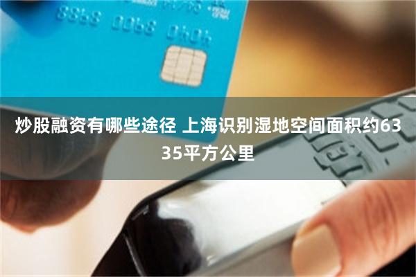 炒股融资有哪些途径 上海识别湿地空间面积约6335平方公里