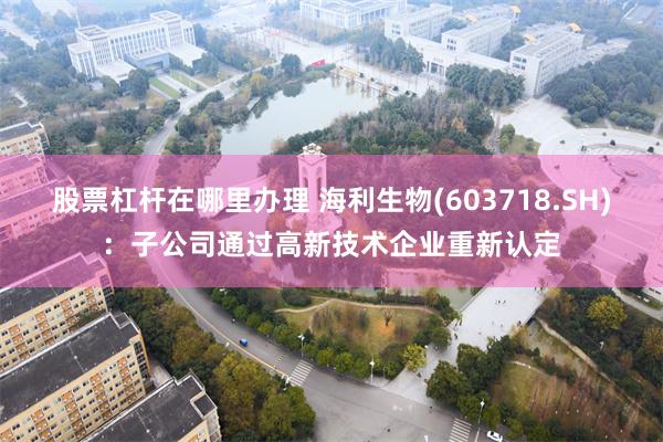股票杠杆在哪里办理 海利生物(603718.SH)：子公司通过高新技术企业重新认定