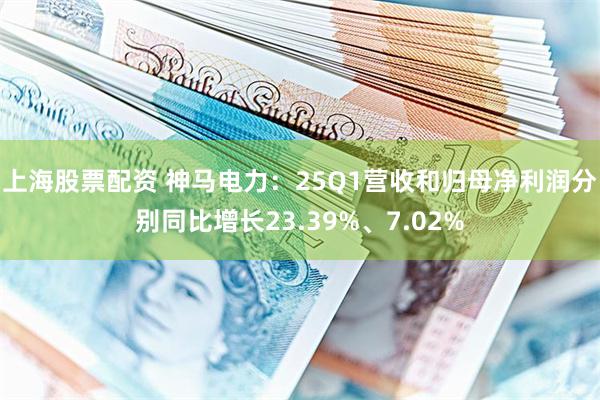 上海股票配资 神马电力：25Q1营收和归母净利润分别同比增长23.39%、7.02%