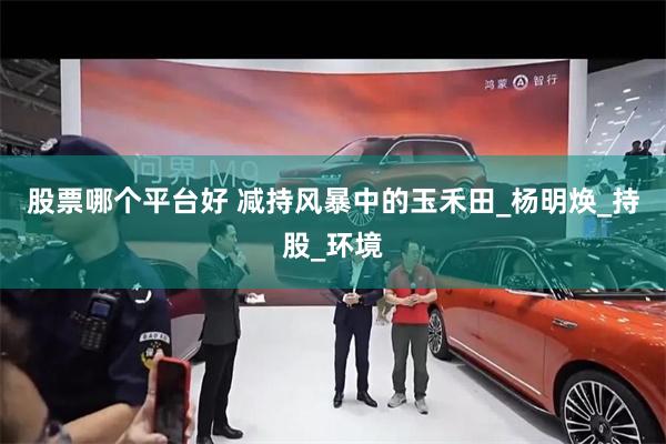 股票哪个平台好 减持风暴中的玉禾田_杨明焕_持股_环境