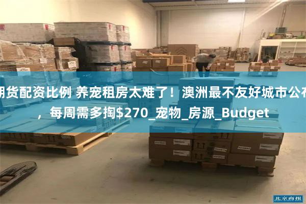 期货配资比例 养宠租房太难了！澳洲最不友好城市公布，每周需多掏$270_宠物_房源_Budget