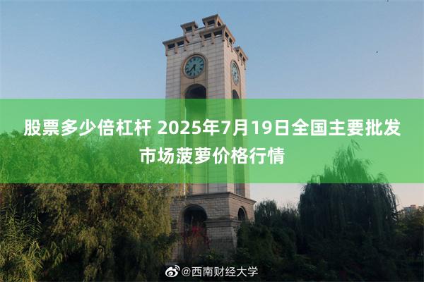 股票多少倍杠杆 2025年7月19日全国主要批发市场菠萝价格行情