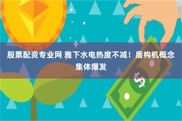 股票配资专业网 雅下水电热度不减！盾构机概念集体爆发