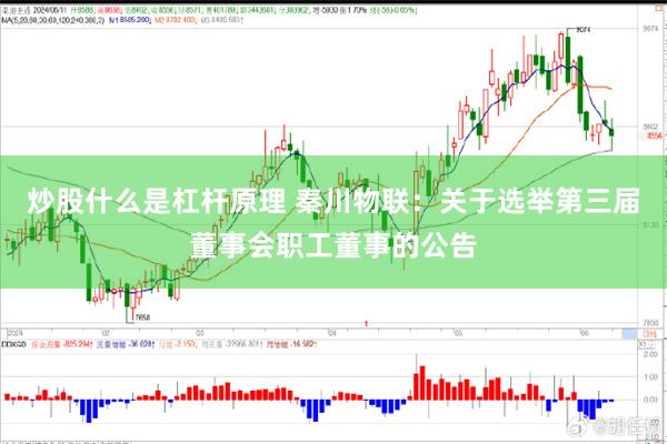 炒股什么是杠杆原理 秦川物联：关于选举第三届董事会职工董事的公告