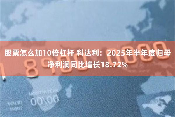 股票怎么加10倍杠杆 科达利：2025年半年度归母净利润同比增长18.72%