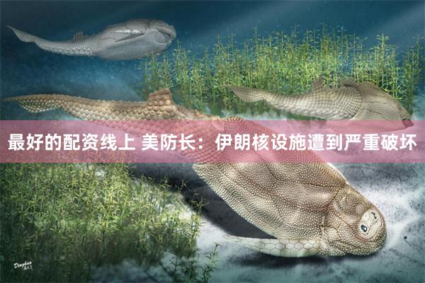 最好的配资线上 美防长：伊朗核设施遭到严重破坏