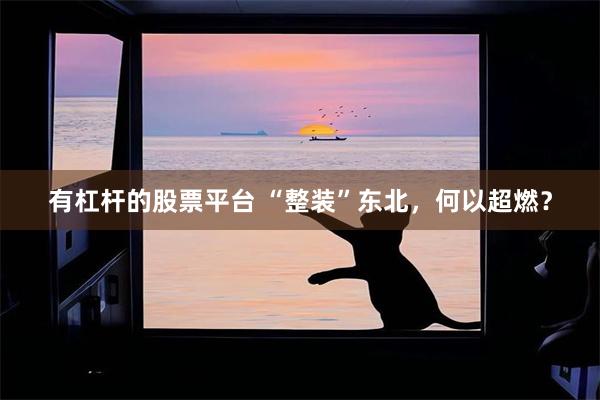 有杠杆的股票平台 “整装”东北,何以超燃?