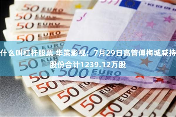 什么叫杠杆股票 华策影视：7月29日高管傅梅城减持股份合计1239.12万股
