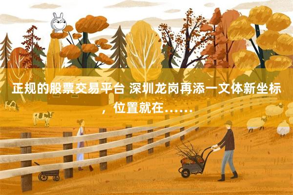 正规的股票交易平台 深圳龙岗再添一文体新坐标，位置就在……
