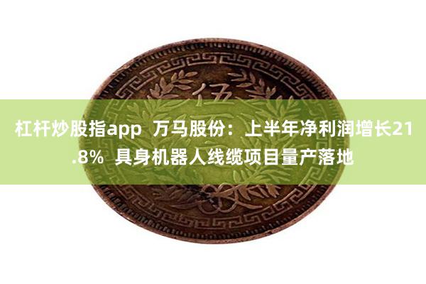 杠杆炒股指app  万马股份：上半年净利润增长21.8%  具身机器人线缆项目量产落地