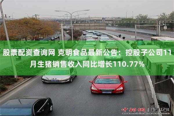 股票配资查询网 克明食品最新公告：控股子公司11月生猪销售收入同比增长110.77%