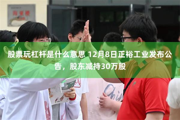 股票玩杠杆是什么意思 12月8日正裕工业发布公告，股东减持30万股
