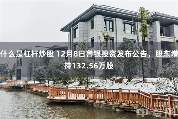 什么是杠杆炒股 12月8日鲁银投资发布公告，股东增持132.56万股