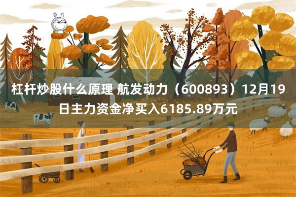 杠杆炒股什么原理 航发动力（600893）12月19日主力资金净买入6185.89万元