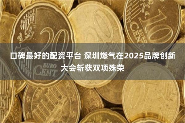 口碑最好的配资平台 深圳燃气在2025品牌创新大会斩获双项殊荣