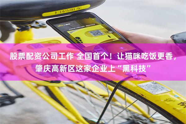股票配资公司工作 全国首个！让猫咪吃饭更香，肇庆高新区这家企业上“黑科技”