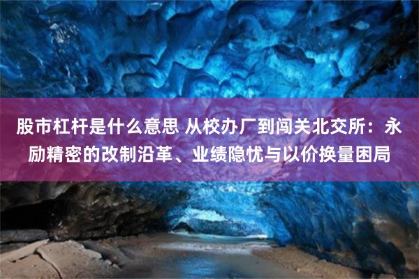 股市杠杆是什么意思 从校办厂到闯关北交所：永励精密的改制沿革、业绩隐忧与以价换量困局