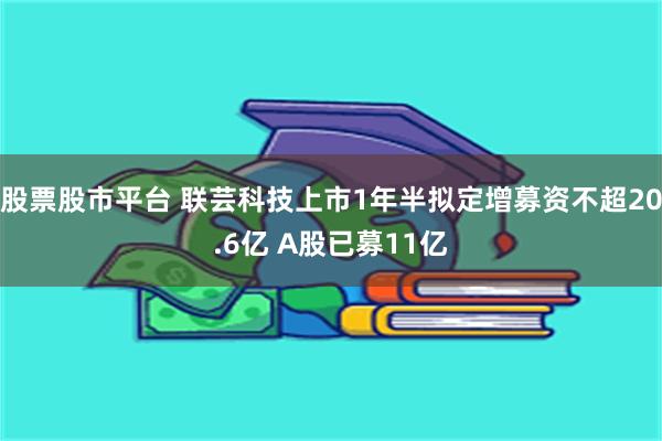 股票股市平台 联芸科技上市1年半拟定增募资不超20.6亿 A股已募11亿