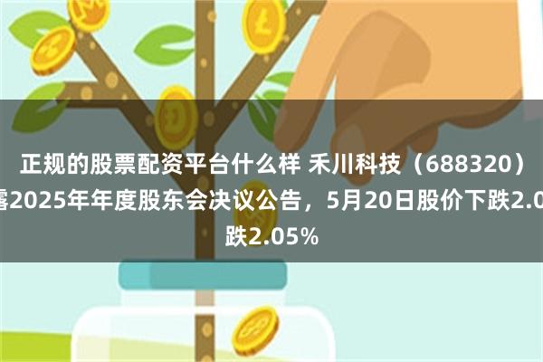 正规的股票配资平台什么样 禾川科技（688320）披露2025年年度股东会决议公告，5月20日股价下跌2.05%