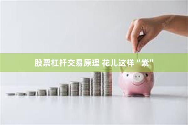 股票杠杆交易原理 花儿这样“紫”