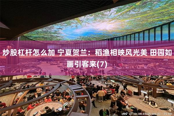 炒股杠杆怎么加 宁夏贺兰：稻渔相映风光美 田园如画引客来(7)