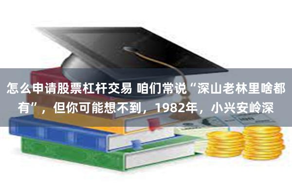 怎么申请股票杠杆交易 咱们常说“深山老林里啥都有”,但你可能想不到,1982年,小兴安岭深