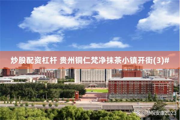炒股配资杠杆 贵州铜仁梵净抹茶小镇开街(3)#