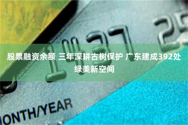 股票融资余额 三年深耕古树保护 广东建成392处绿美新空间