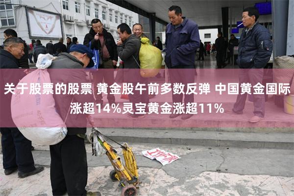 关于股票的股票 黄金股午前多数反弹 中国黄金国际涨超14%灵宝黄金涨超11%