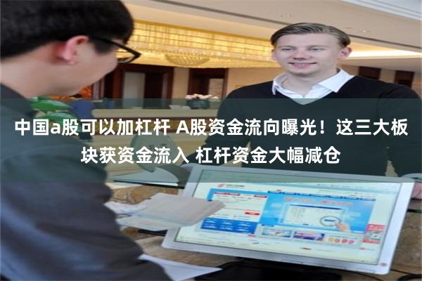 中国a股可以加杠杆 A股资金流向曝光！这三大板块获资金流入 杠杆资金大幅减仓