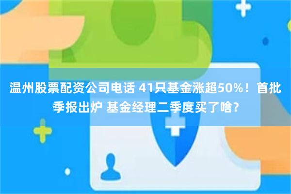 温州股票配资公司电话 41只基金涨超50%！首批季报出炉 基金经理二季度买了啥？