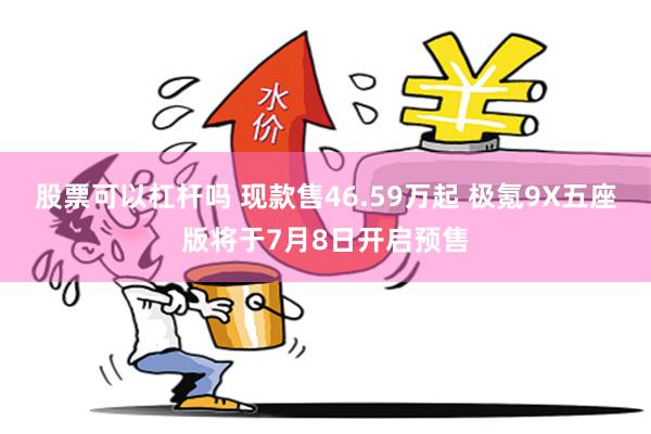 股票可以杠杆吗 现款售46.59万起 极氪9X五座版将于7月8日开启预售