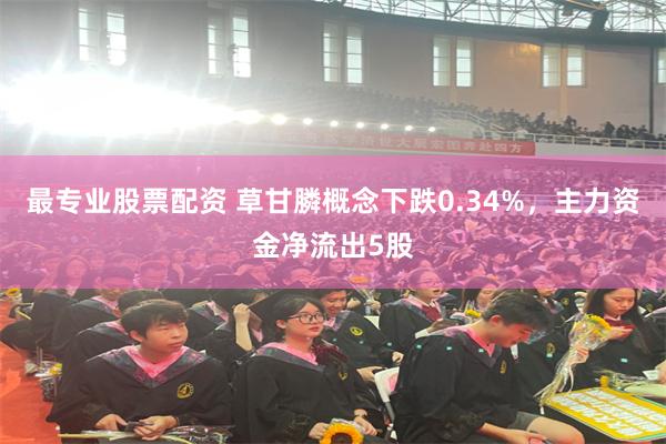 最专业股票配资 草甘膦概念下跌0.34%，主力资金净流出5股