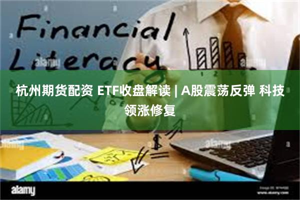 杭州期货配资 ETF收盘解读 | A股震荡反弹 科技领涨修复