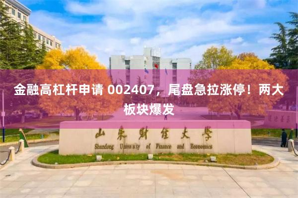 金融高杠杆申请 002407，尾盘急拉涨停！两大板块爆发