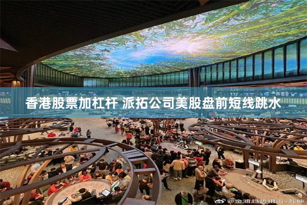 香港股票加杠杆 派拓公司美股盘前短线跳水