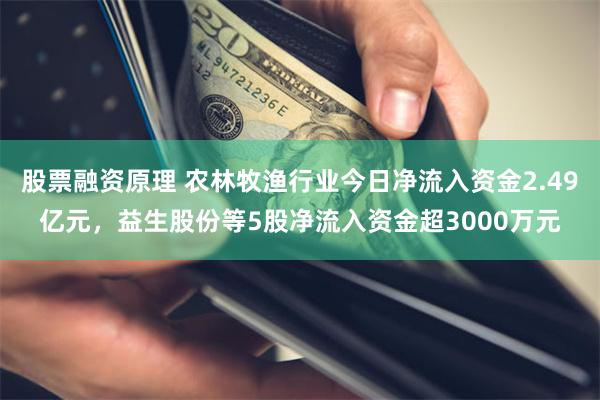 股票融资原理 农林牧渔行业今日净流入资金2.49亿元，益生股份等5股净流入资金超3000万元