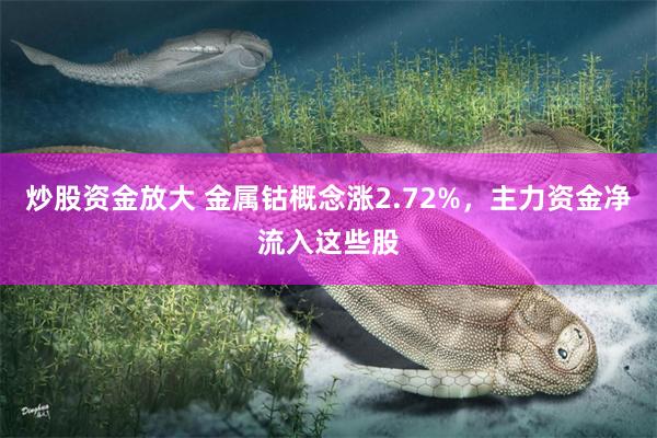 炒股资金放大 金属钴概念涨2.72%，主力资金净流入这些股