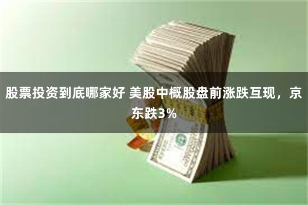 股票投资到底哪家好 美股中概股盘前涨跌互现，京东跌3%